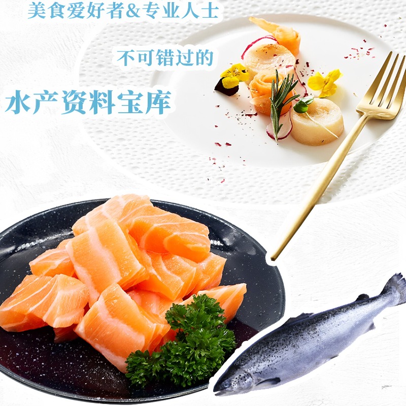 Seafood Cookbook DK 300 Classi - đánh giá và giá Home Cooking Cookbook
